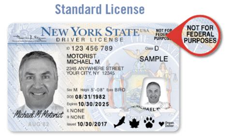 Drivers Licenses For Undocumented Immigrants New York Auto School
