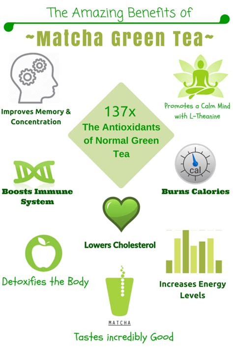 The Amazing Benefits Of Matcha Green Tea The Tea Journey