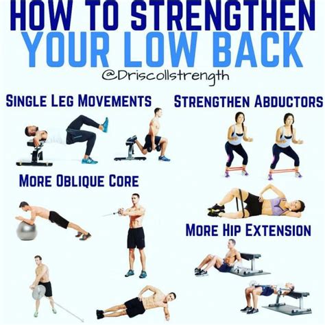 It can also affect your daily movements such as reaching down to pick up something from the floor. A strong lower back will help keep your hip flexors and ...