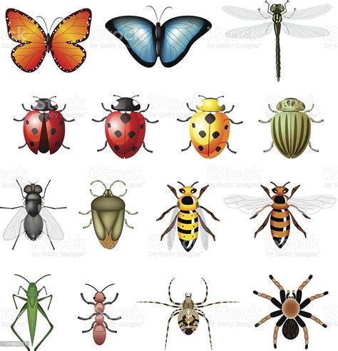 Rows Of Graphic Images Of Different Kinds Of Bugs Stock