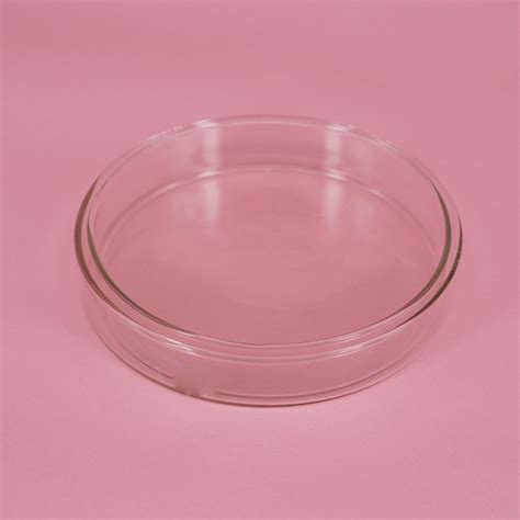 60 200mm Borosilicate Glass Petri Culture Dish With Lids For Lab