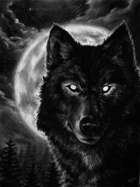 Black Wolf Ojos Del Lobo Tatuajes De Lobos Fotos De Lobo