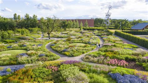 The Vision And Landscape Design For Rewilding Our Land Gather And Grow