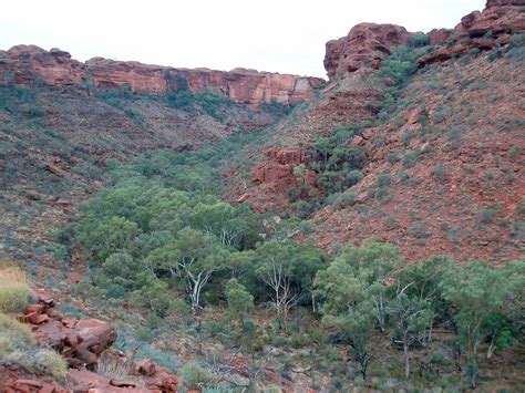 Photo Of Kings Canyon Gorge Free Australian Stock Images