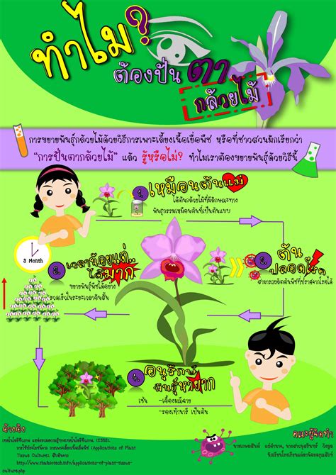 Biotechnology) คือ การใช้ระบบและสิ่งที่มีชีวิตเพื่อพัฒนาหรือสร้างผลิตภัณฑ์ที่มีประโยชน์, หรือ การประยุกต์ใช้เทคโนโลยีใดๆ. ประกาศรางวัลโครงการประกวดอินโฟกราฟิกส์ (Infographics ...