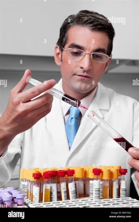 Lab Technician Filling Blood In A Test Tube From A Syringe Stock Photo
