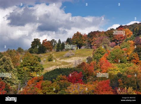 Autumn Foliage Surrounds A Clearing On Bald Knob In The Canaan Valley