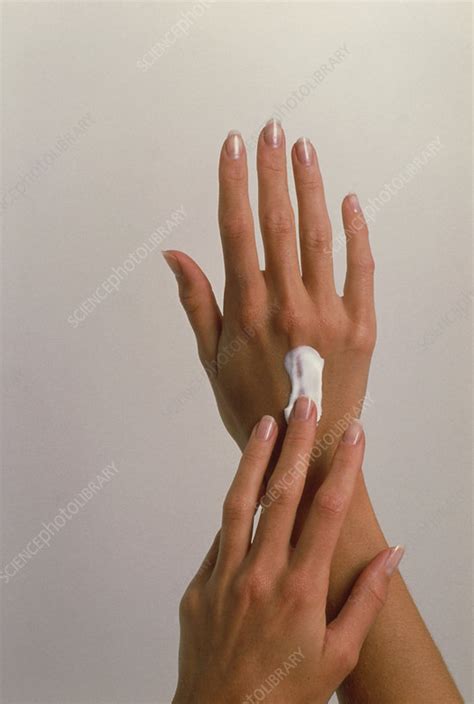 woman s hands rubbing in hand cream stock image m985 0099 science photo library
