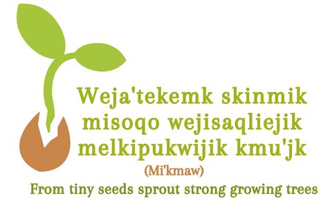 Mikmaw Logo New Tiny Seed Project
