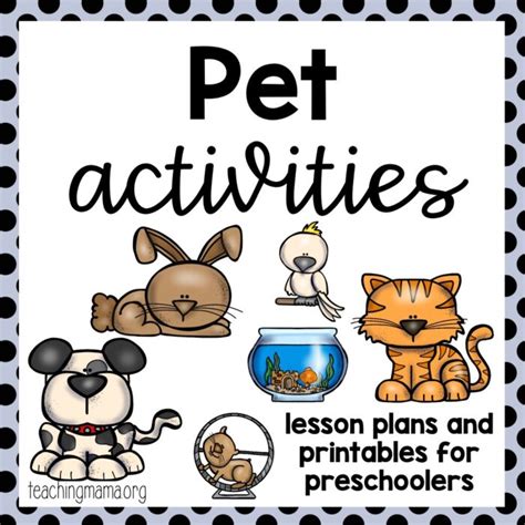 Pet Activities Teaching Mama