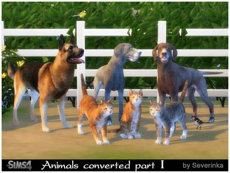This mod by snthe greatly diminishes their need for human attention by making their motive bars deplete much slower, giving your sims their life back. Sims 4 CC's - The Best: Animal by Severinka | Sims 4, Sims ...