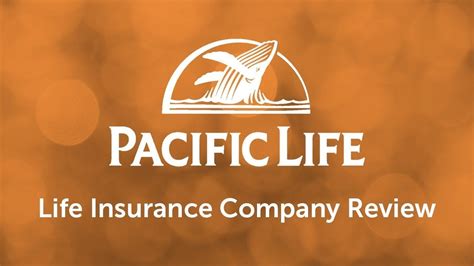 Https://tommynaija.com/quote/pacific Life Insurance Quote