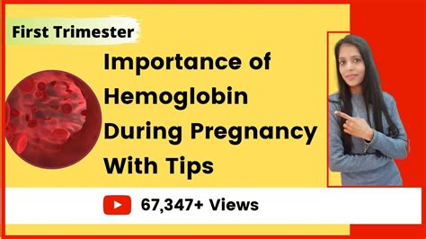 Importance Of Hemoglobin During Pregnancy Increase Hemoglobin Levels