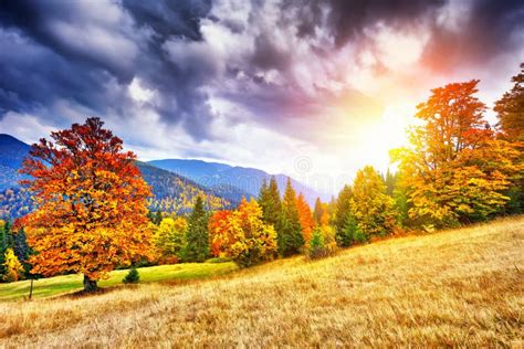 Majestic Particolored Forest Sunny Beams Natural Park Dra Stock Photos