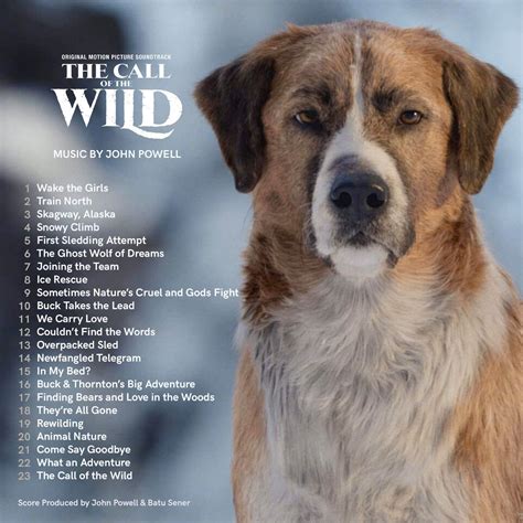 The call (2020 american film). John Powell's CALL OF THE WILD (2020) - General Discussion ...