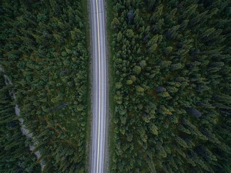 2400x1799 Drone View Tree Dji Drive Drone Photography Highway