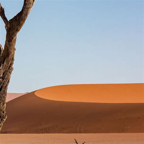 Desert Sand Dune Dunes 5k Ipad Wallpapers Free Download