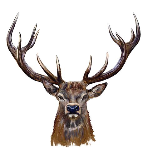 Deer Head Painting By Marcin Moderski Pixels