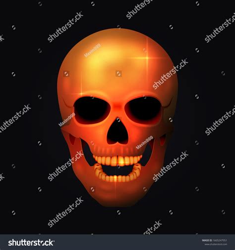 Realistic Golden Human Skull Dark Vector Stock Vector Royalty Free