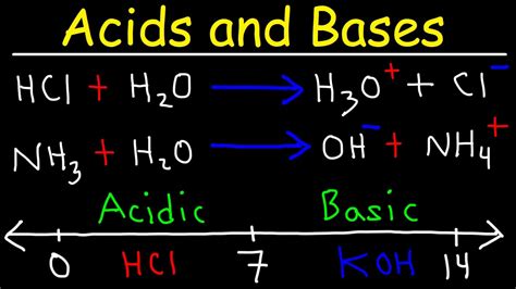 Acids And Bases Basic Introduction Chemistry Youtube