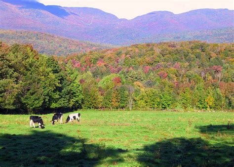 Fall Hiking Green Mountain Nf Vermont Sierra Club Outings