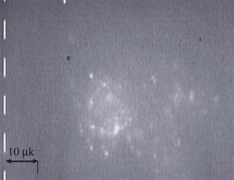 Image Of Particle Make On Optical Microscope Particles Size Are