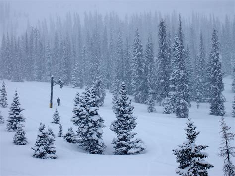 The 20 Deepest Snowpacks In The Usa Right Now Mammoth 1 Unofficial