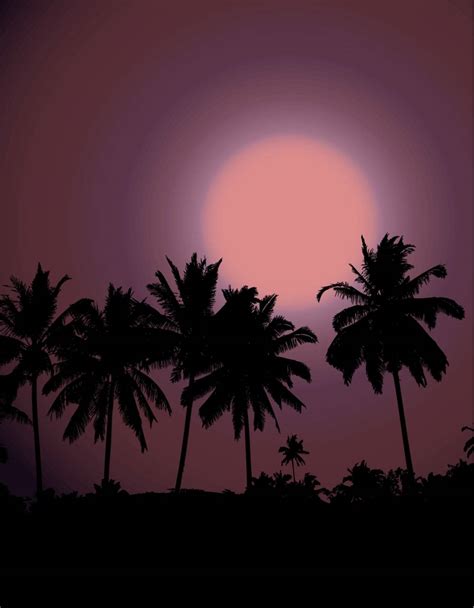 Tropical Sunset Palm Tree Silhouette Stock Image Vectorgrove