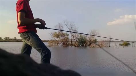 Pesca De Lobina Estilo Texas🎣👌 Youtube