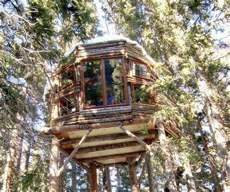 This Treehouse Was Discovered By Joseph Ebsworth Who Has Set Himself