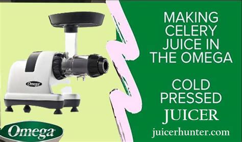 Omega Juicers Everything You Need About Omega