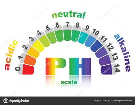 Scale Of Ph Value For Acid And Alkaline Solutions Vector Isolated Or