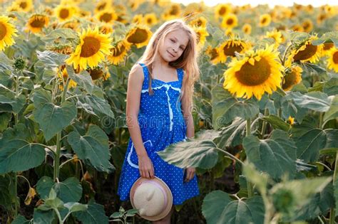 Girl With A Hat In A Sunflower Field Stock Photo Image Of Harvest