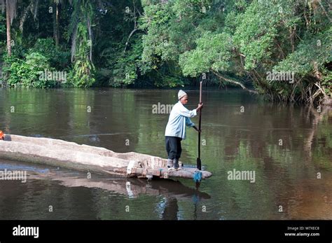 River Forest Congo Hi Res Stock Photography And Images Alamy