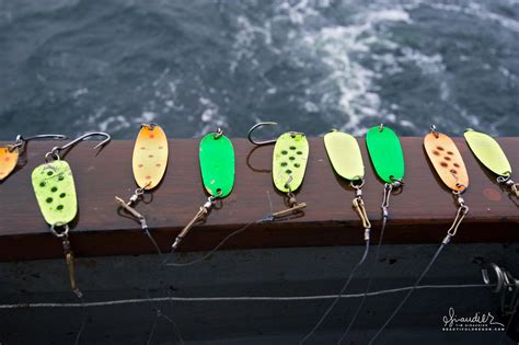 Trolling Spoons For Silver Salmon Oregon Photography