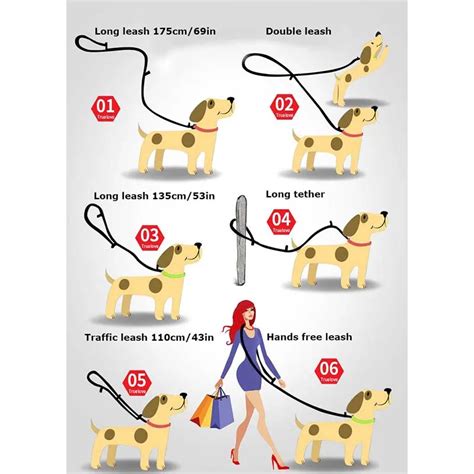 Truelove 7 In 1 Multi Function Adjustable Dog Lead Hand Free Pet