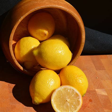 Improved Meyer Lemon Buchanans Native Plants