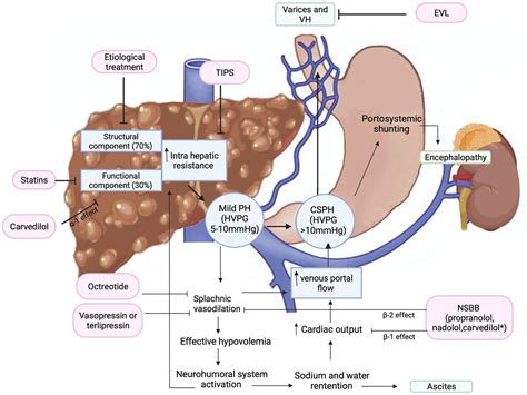Management Of Varices And Variceal Hemorrhage In Liver Cirrhosis A