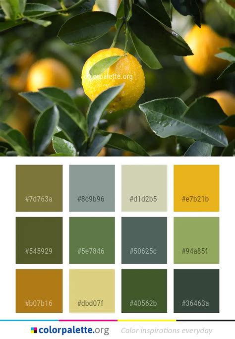 Bright Fruit Color Palette You Can Copy Hex Codes And Even Download A