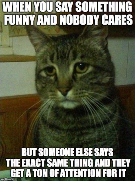 Depressed Cat Memes Imgflip
