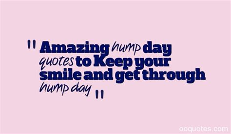 Hump Day Funny Facebook Quotes Quotesgram