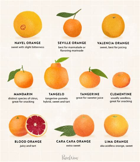 10 types of oranges and what they re best for purewow