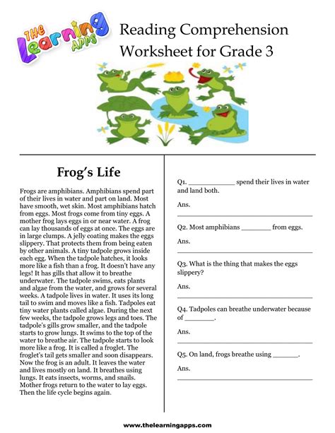 3rd Grade Reading Activities Worksheet