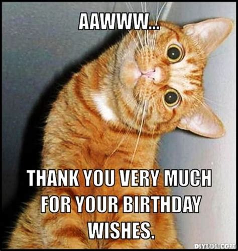 86 Cat Birthday Wishes
