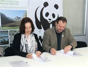 Giz Orf Bd And Wwf Adria Together For Conserved Nature In Dinaric Arc