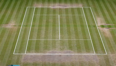 Wimbledon grass prepped for tennis season. Photos show how much Wimbledon's grass changes over two ...
