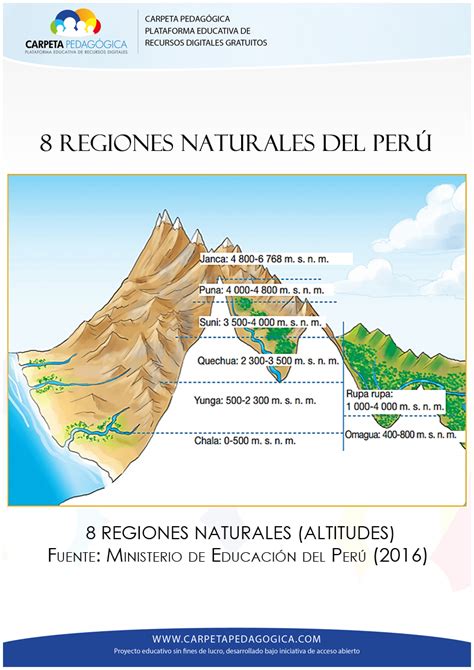 Las 8 Regiones Naturales Del Peru Dibujos Docx Document Kulturaupice