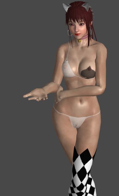 Request Port Models From Xnalara In Doa5lr Dead Or Alive 5