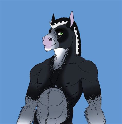 Soren The Stallion Furry Amino