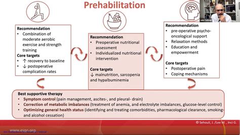 Peri Operative Ovarian Cancer Guidelines Prehabilitation Enhanced